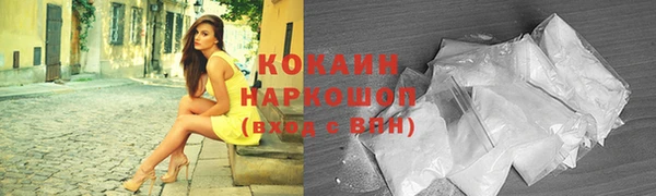 бошки Осинники