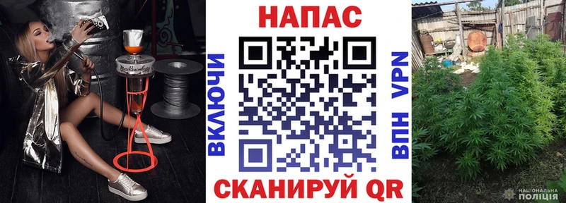 мориарти телеграм  Эртиль  Конопля VHQ 